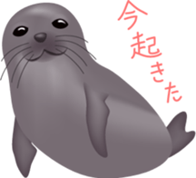 6943900