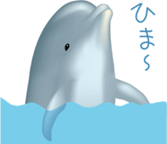 6943925
