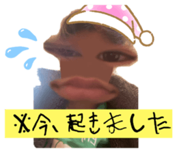 694400253