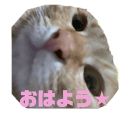694400837
