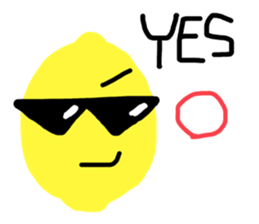 694400905