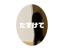 694409001