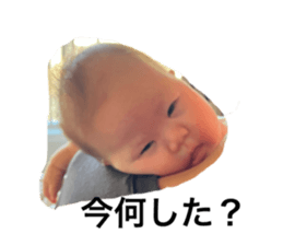 694420537
