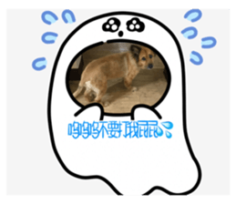 694423680