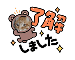 694473837