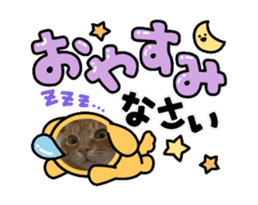 694473839