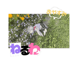 694477612