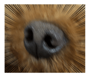 694478230