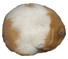 694490543