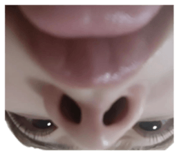 694491097