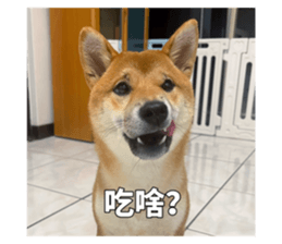 694493514