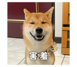 694493515
