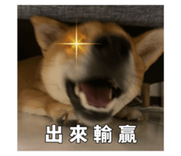 694493524