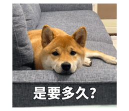 694493527