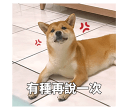 694493542