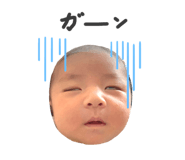 694498644