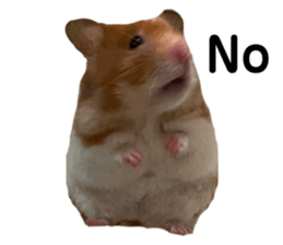 694505010