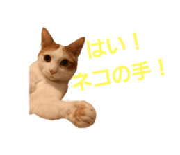 694513194