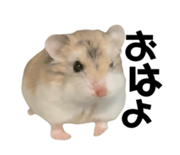 694560849