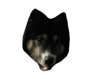 694574398