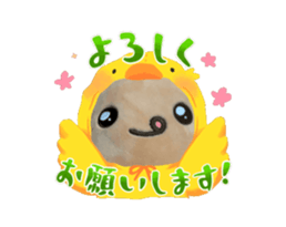 694593298