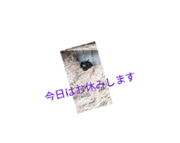 694599152