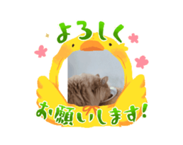 694599495