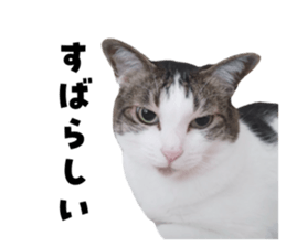 694599724