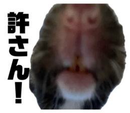 694601980