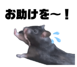 694601988