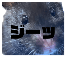 694601992