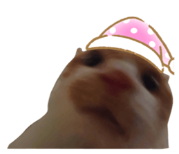 694606999