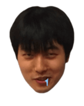 694665311