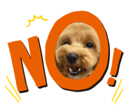 694699954