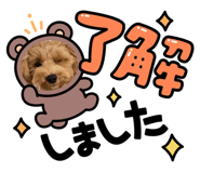 694699968