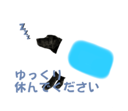 694705277