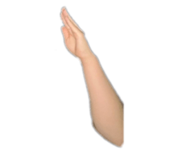 694705907