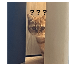 694709059