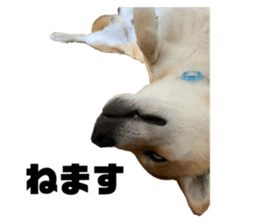 694730156