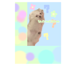 694730932