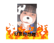 694734446