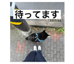 694741818
