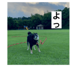 694741830