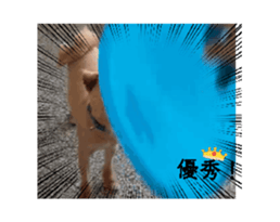 694756752