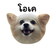 694796449
