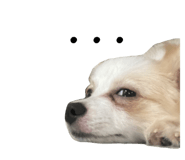694796453