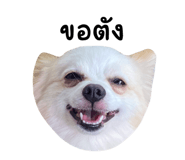 694796454
