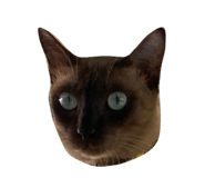 694796458