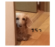 694849731