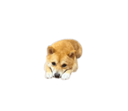 694863689